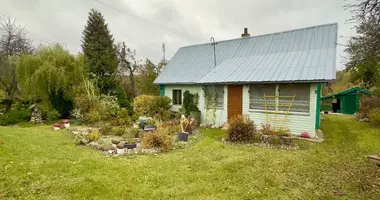 House in Matusonys, Lithuania