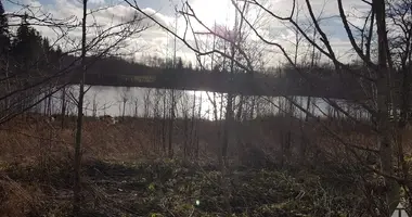 Plot of land in Dubuli, Latvia