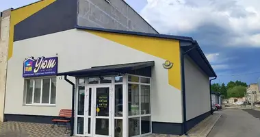 Commercial property 323 m² in Slonim, Belarus