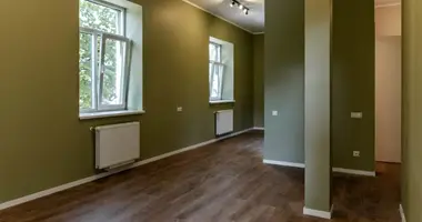 2 bedroom apartment in Riga, Latvia