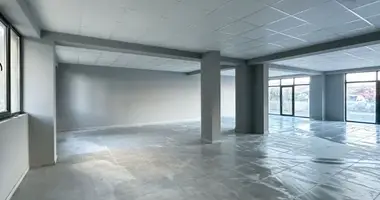 Gewerbefläche 253 m² in Tiflis, Georgien