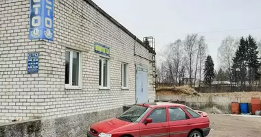 Produktion 228 m² in Maladsetschna, Weißrussland