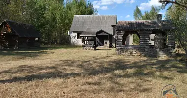 Maison dans Bahusevicki siel ski Saviet, Biélorussie