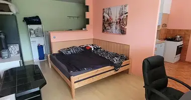 Wohnung 1 Zimmer in Brüx, Tschechien