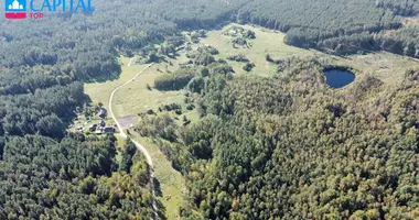 Terrain dans Lukonys, Lituanie