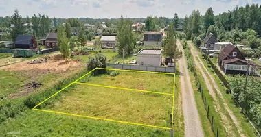 Plot of land in Luhavaslabadski sielski Saviet, Belarus