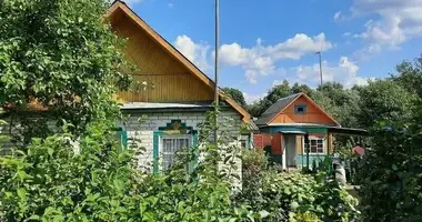 Dom w Miazanski sielski Saviet, Białoruś