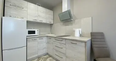 Wohnung 2 zimmer mit Balkon, mit Möbliert, mit Haushaltsgeräte in Minsk, Weißrussland