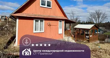 Dom w Rakauski sielski Saviet, Białoruś