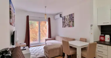 Apartment with Furnitured, with Air conditioner, with public parking in Budva, Montenegro