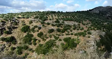 Plot of land in Anogia, Greece
