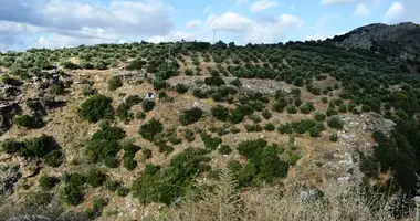 Plot of land in Axos, Greece