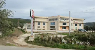 Propriété commerciale 4 665 m² dans Nea Ephidauros, Grèce