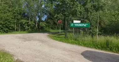 Działka w Piatryskauski sielski Saviet, Białoruś