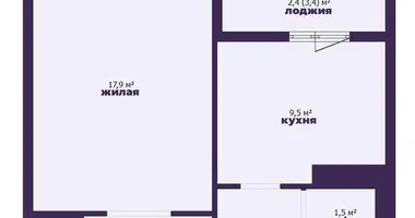 1 room apartment in Minsk, Belarus