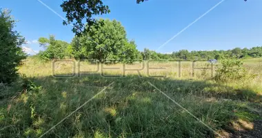 Terrain dans Lazarici, Croatie