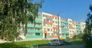 2 room apartment in Orsha, Belarus