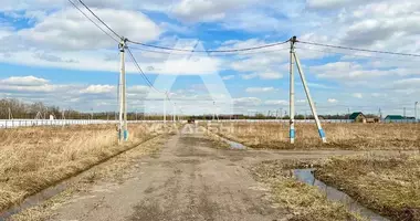 Plot of land in Ramensky District, Russia