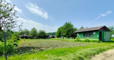 Plot of land in Zodzinski sielski Saviet, Belarus