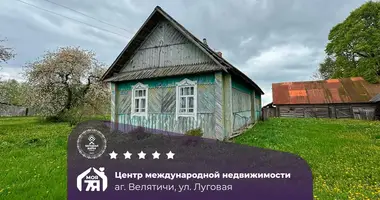Haus in Vialiacicy, Belarus