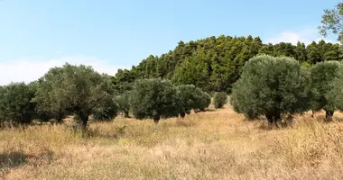 Terrain dans Skala Fourkas, Grèce