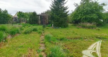 Дом в Мухавецкий сельский Совет, Беларусь