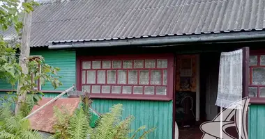 House in Vielikarycki sielski Saviet, Belarus