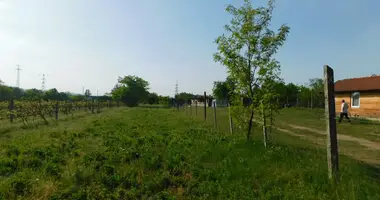 Terrain dans Vac, Hongrie