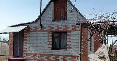 House in Skoki, Belarus