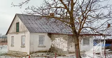House in Zhabinka, Belarus