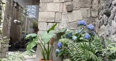4 bedroom house in Mexico City, Mexico