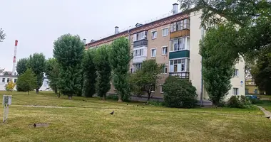 3 room apartment in Minsk, Belarus