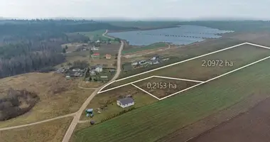 Plot of land in Pilialaukis, Lithuania