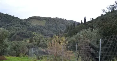 Terrain dans Magoulades, Grèce