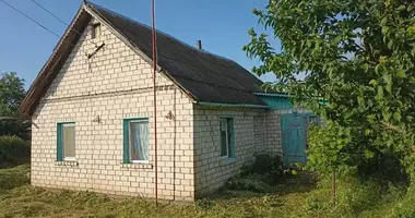 House in Volnauski sielski Saviet, Belarus