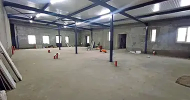 Propiedad comercial 200 m² en Minsk, Bielorrusia