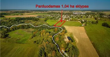 Parcela en Musninkai, Lituania