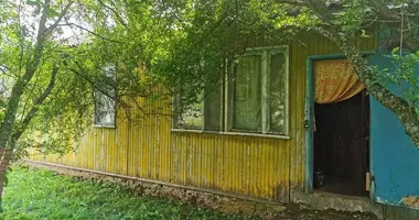 Haus in Paazuoliai, Litauen