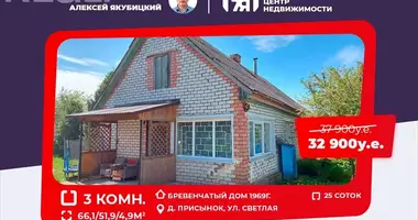 Haus in Pliski sielski Saviet, Weißrussland