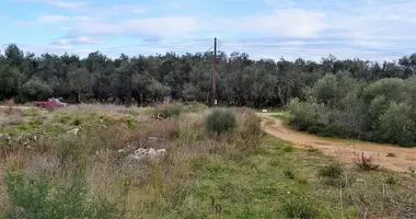 Terrain dans Agios Mattheos, Grèce