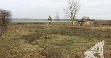 Grundstück in Dzmitrovicki siel ski Saviet, Weißrussland