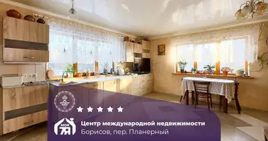 Haus in Baryssau, Belarus