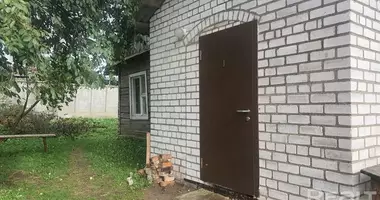 Дом в Косино, Беларусь
