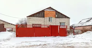 House in Smalyavichy, Belarus