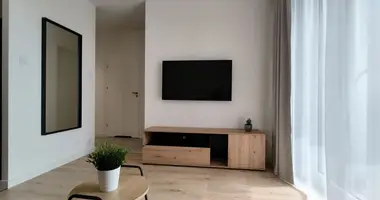 1 bedroom apartment in Warsaw, Poland