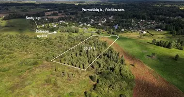 Участок земли в Purnuskes, Литва