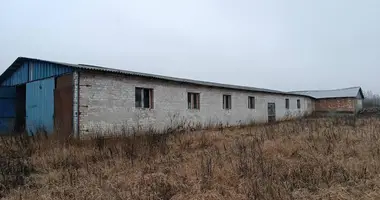 Commercial property 1 294 m² in Januskavicki sielski Saviet, Belarus