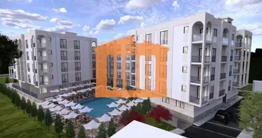1 bedroom apartment in Albania