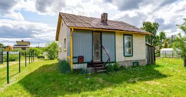Haus in Panevezio rajono savivaldybe, Litauen