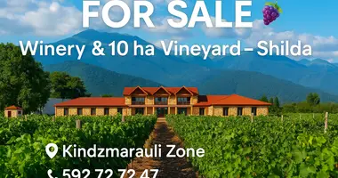 Wine is not just taste and aroma — it's the atmosphere and location that create it! w Shilda, Gruzja